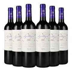 APALTAGUA - 6 Vinos Select Reserva Merlot