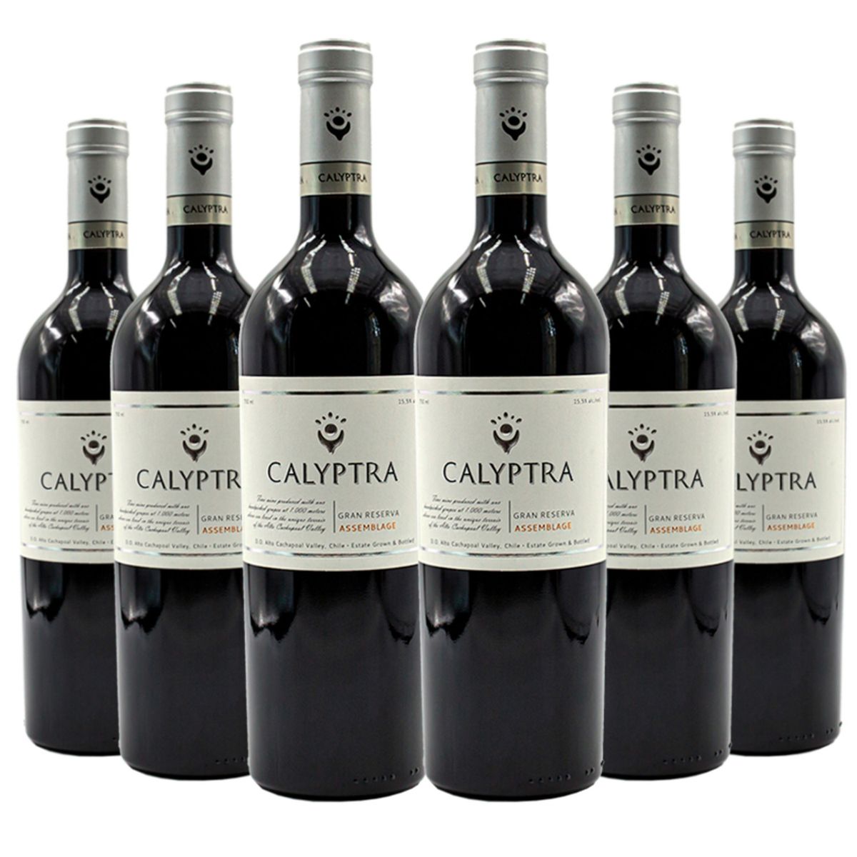 CALYPTRA - 6 Vinos Calyptra Gran Reserva Assemblage