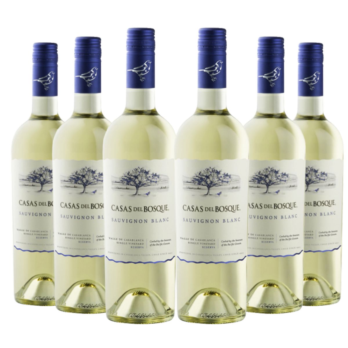 CASAS DEL BOSQUE - 6 Vinos Casas Del Bosque Reserva Sauvignon Blanc