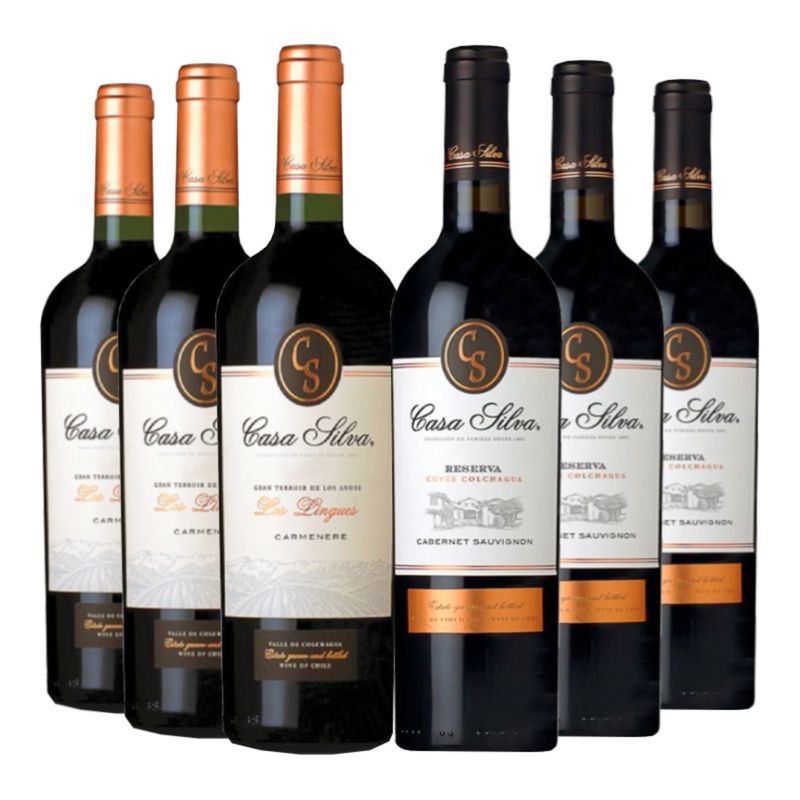 CASA SILVA - 6 Vinos Casa Silva: Gran Terroir Ca + Reserva Cs
