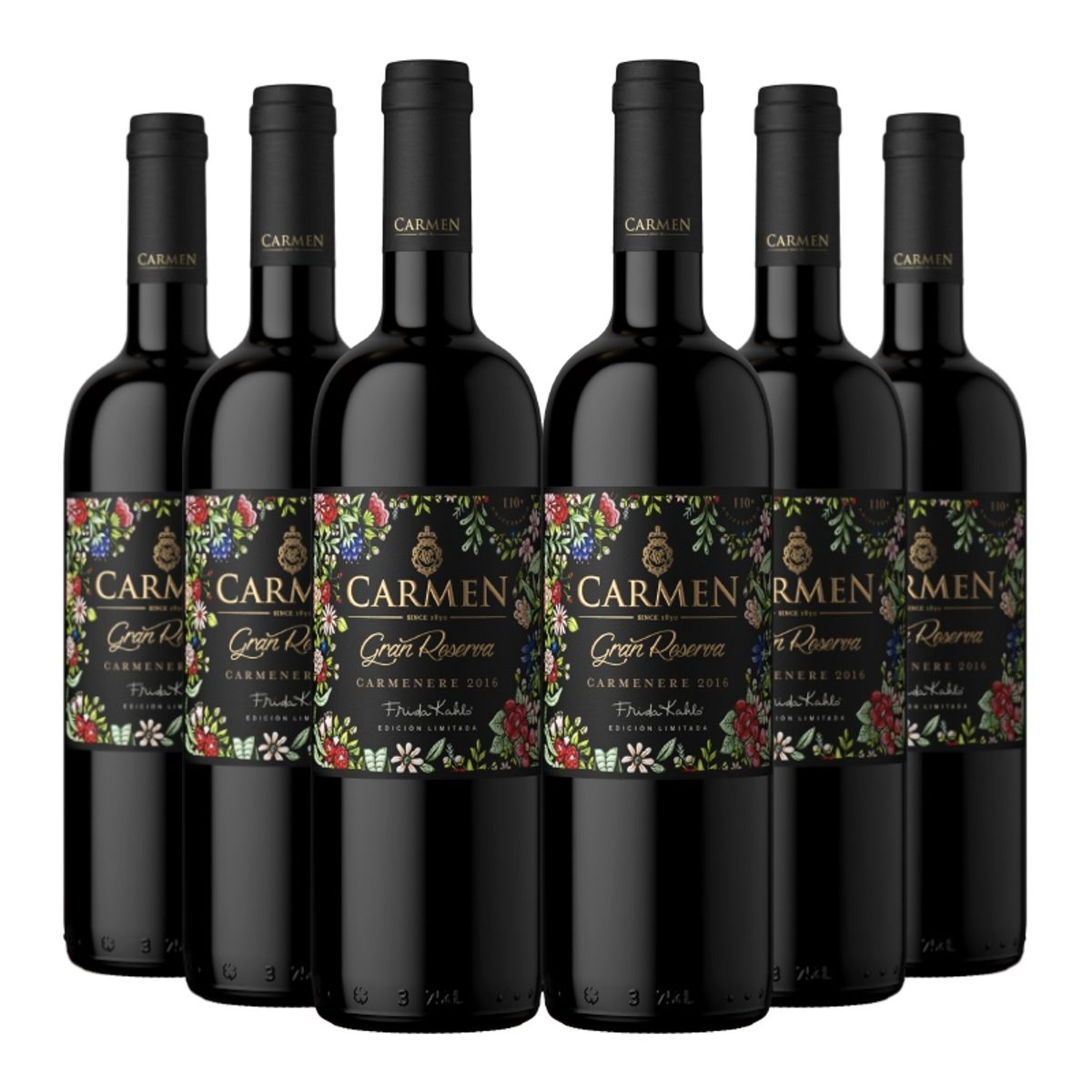 GENERICO - 6 carmen gran reserva frida kahlo carmenere
