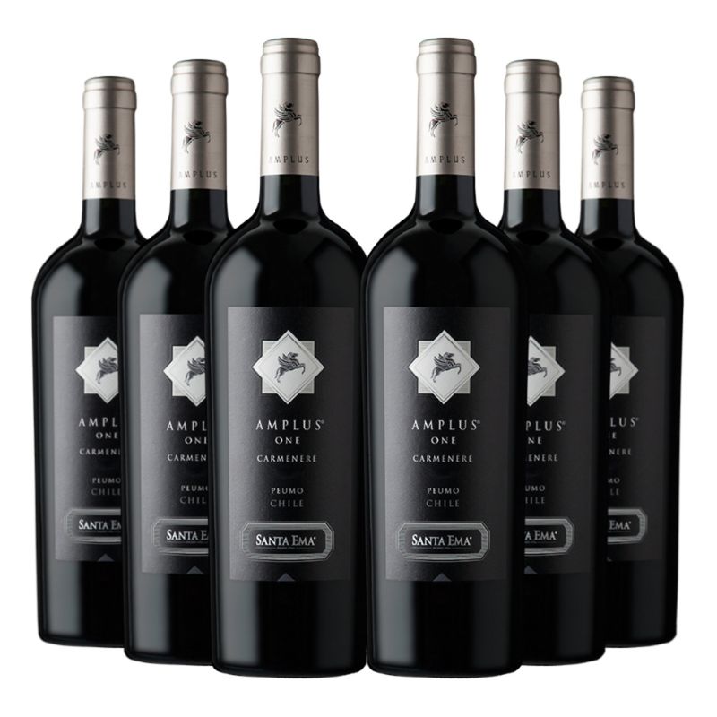 SANTA EMA - 6 Vinos Santa Ema One Amplus Carmenere