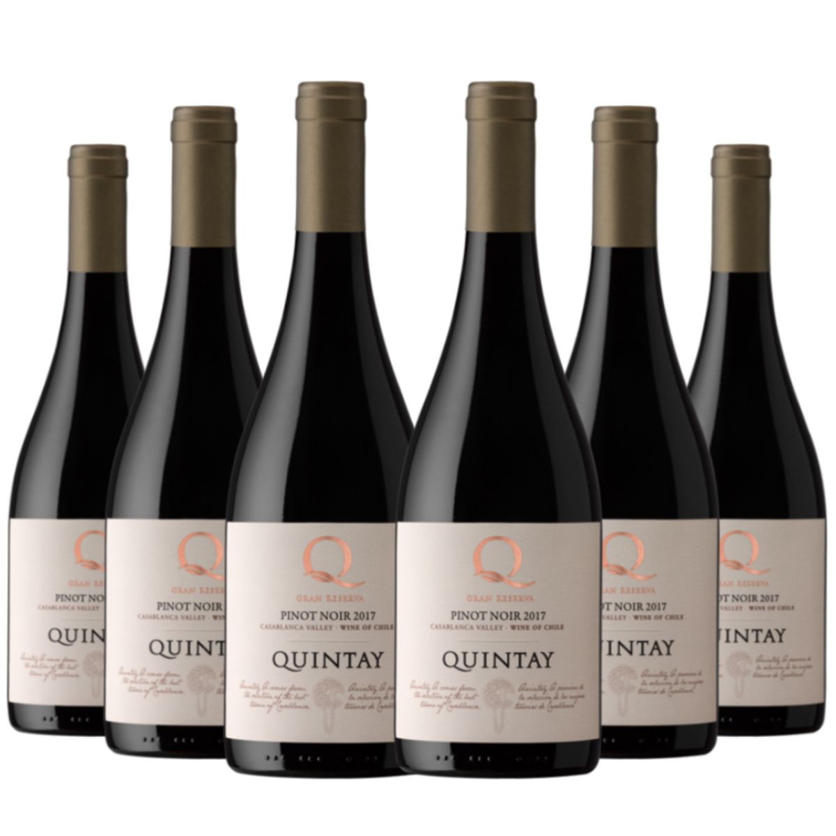 QUINTAY - 6 Vinos Quintay Q Pinot Noir