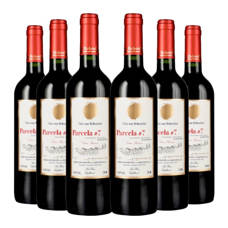 VON SIEBENTHAL - 6 Vinos Von Siebenthal Parcela 7 Ensamblaje