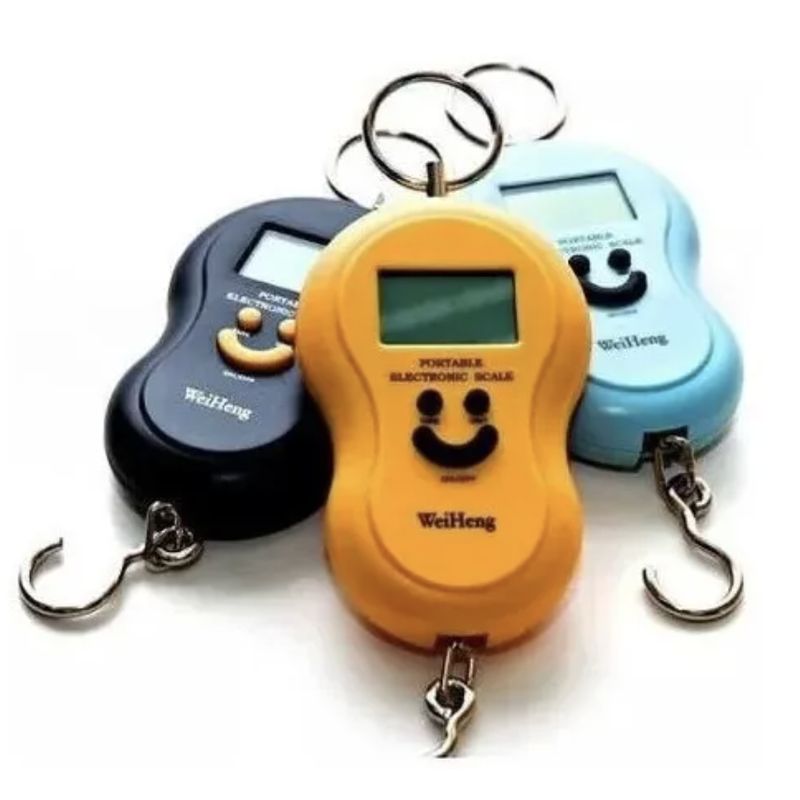 FRANAFOR - Pesa Balanza Digital Maleta Viaje Portatil Hasta 50kg 110lb