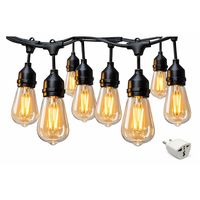 Guirnalda Impermeable Luces Led 10 Metros Extensible + 10 Ampolletas corriente