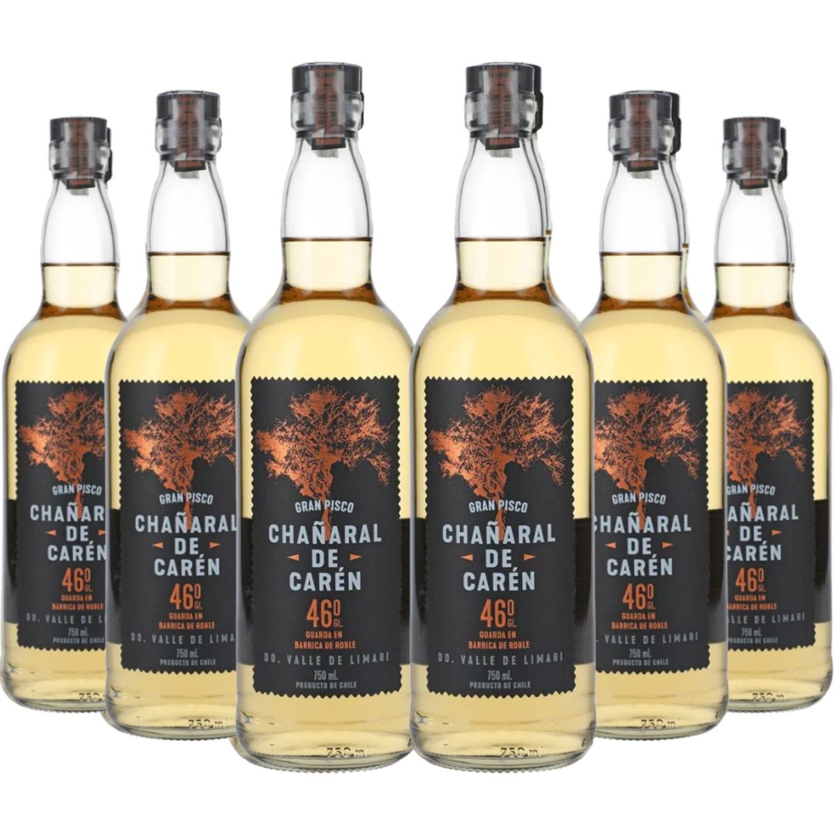 GENERICO - 6 Piscos Chañaral de Caren Gran Pisco (750ml 46%)