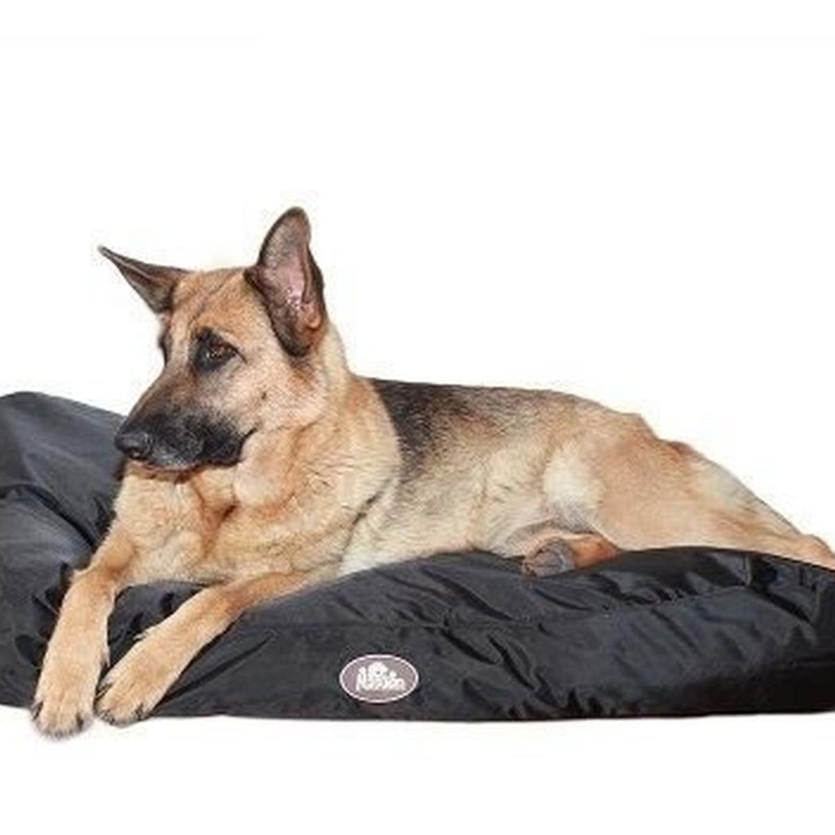 MASCAN - Cama Impermeable Con Memory Foam Perro Mascan Talla S