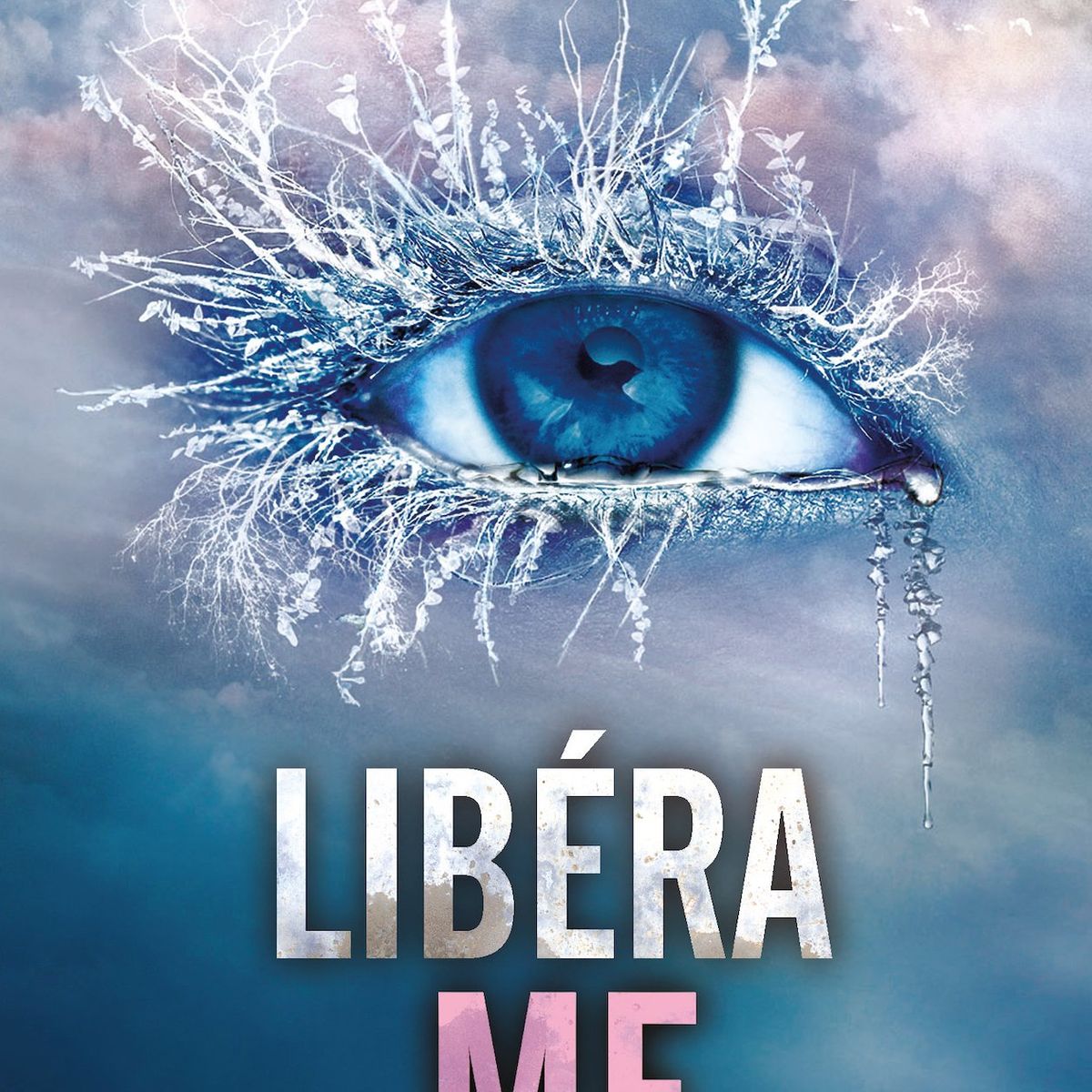 TOP10BOOKS - LIBRO Libérame - Libérame