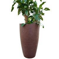 MACETERO CAFÉ AMSTERDAM 65 CM ALTO CON PLATO