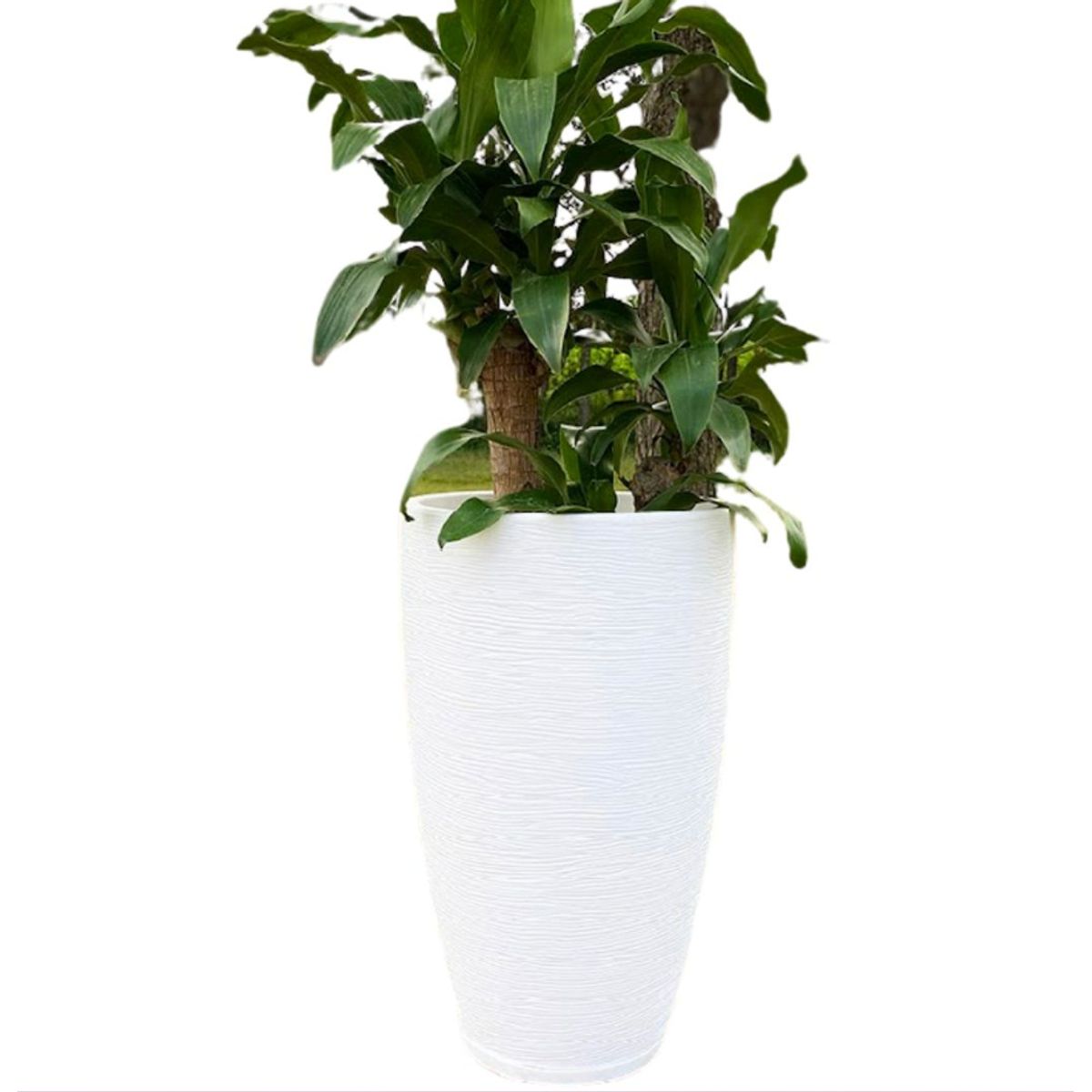 FLORIDIS - MACETERO FLORIDIS BLANCO AMSTERDAM 65 CM ALTO CON PLATO