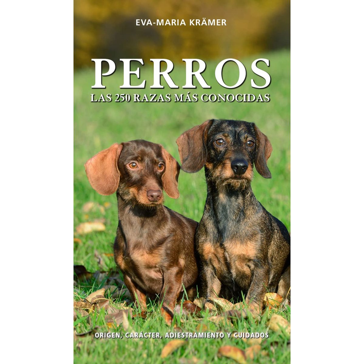 RETAILEXPRESS - Perros, las 50 razas más conocidas
