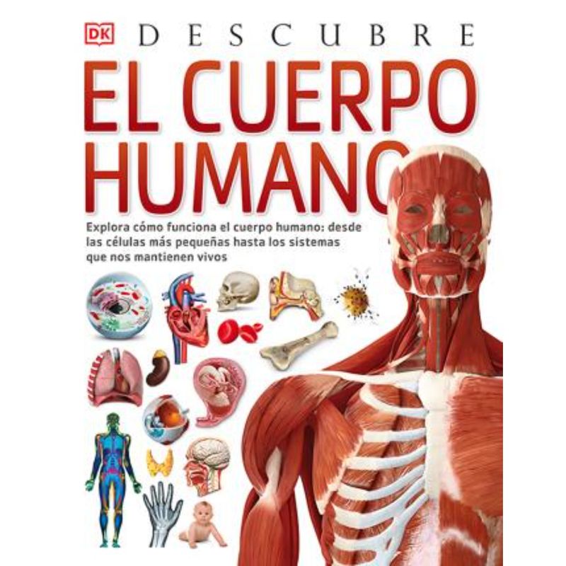 RETAILEXPRESS - Descubre el cuerpo humano