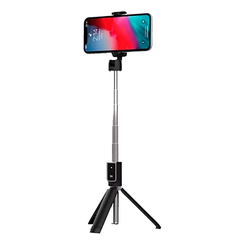 DM - BASTON SELFIE P50 BT