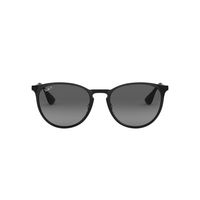 Anteojos De Sol Ray-Ban RB3539 Erika Metal Negro