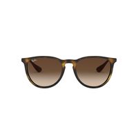 Anteojos De Sol Ray-Ban RB4171 Erika Havana