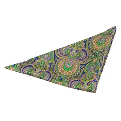 PIERCE ACCESORIOS - Pañuelo de Bolsillo Multicolor