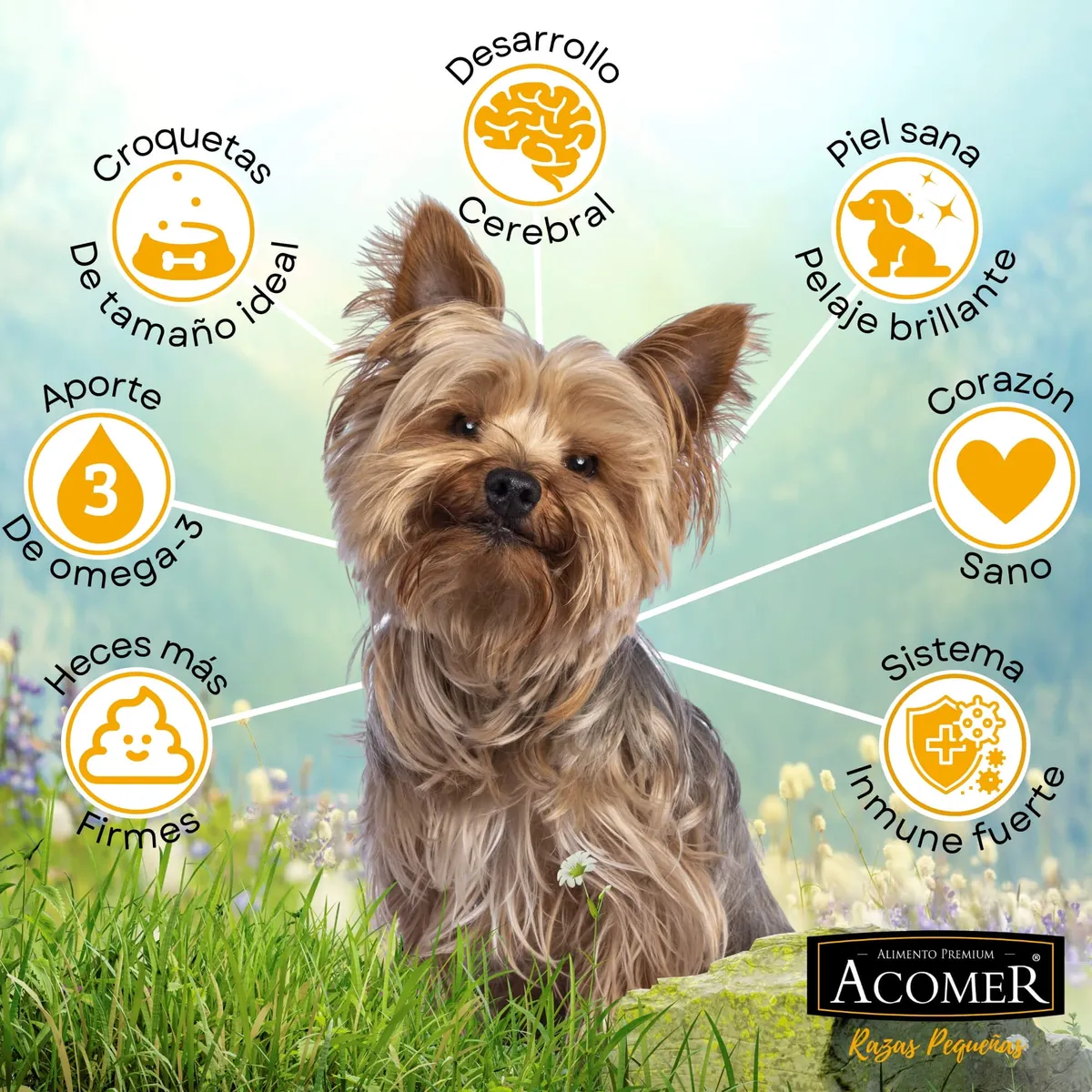 TRESKO - Alimento Acomer perro adulto razas pequeñas 10Kg