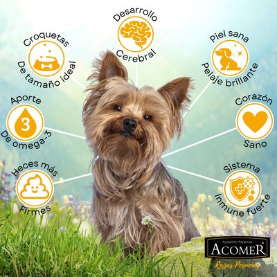 Imagen 2 del producto Alimento Acomer perro adulto razas pequeñas 10Kg