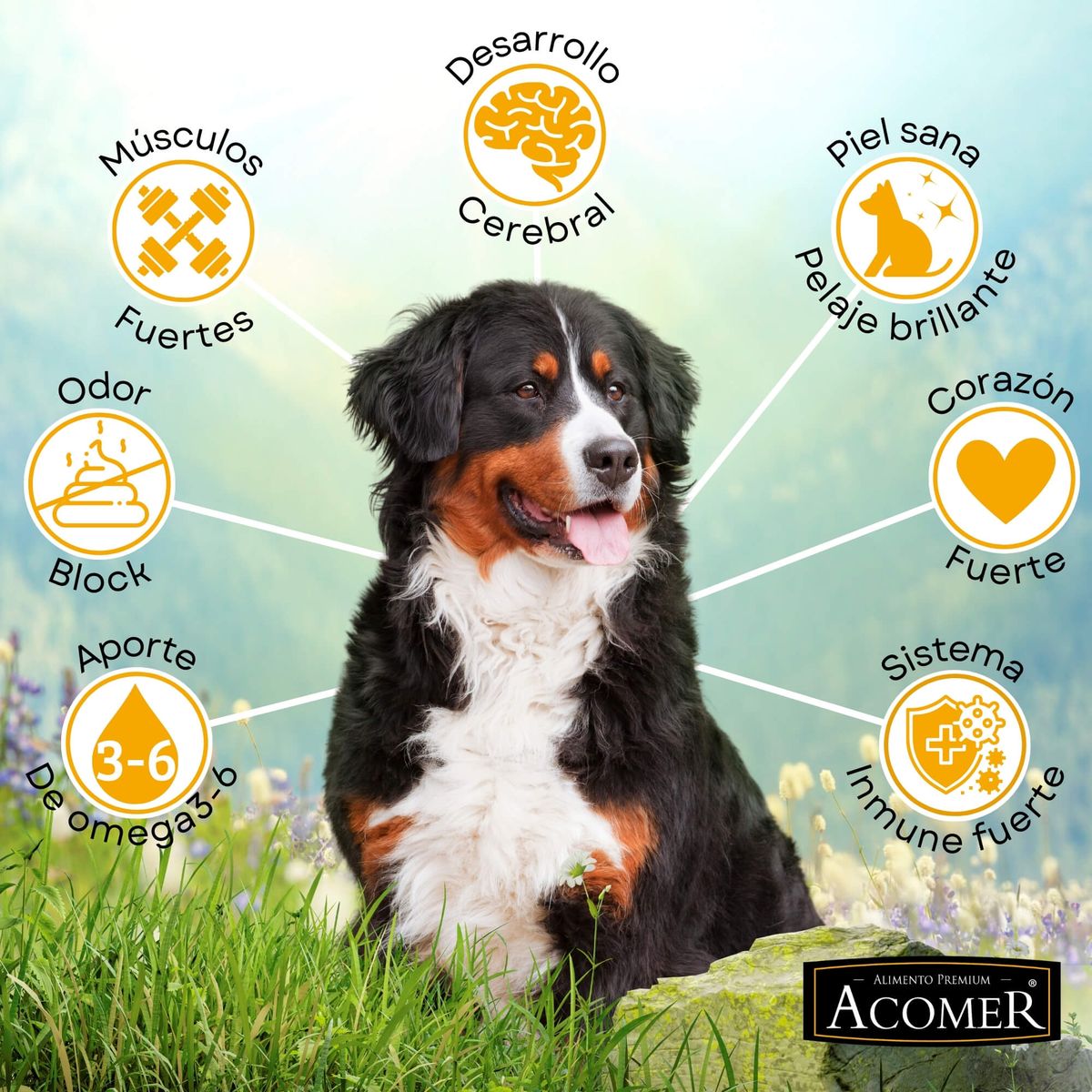 TRESKO - Alimento Acomer perro adulto 18Kg