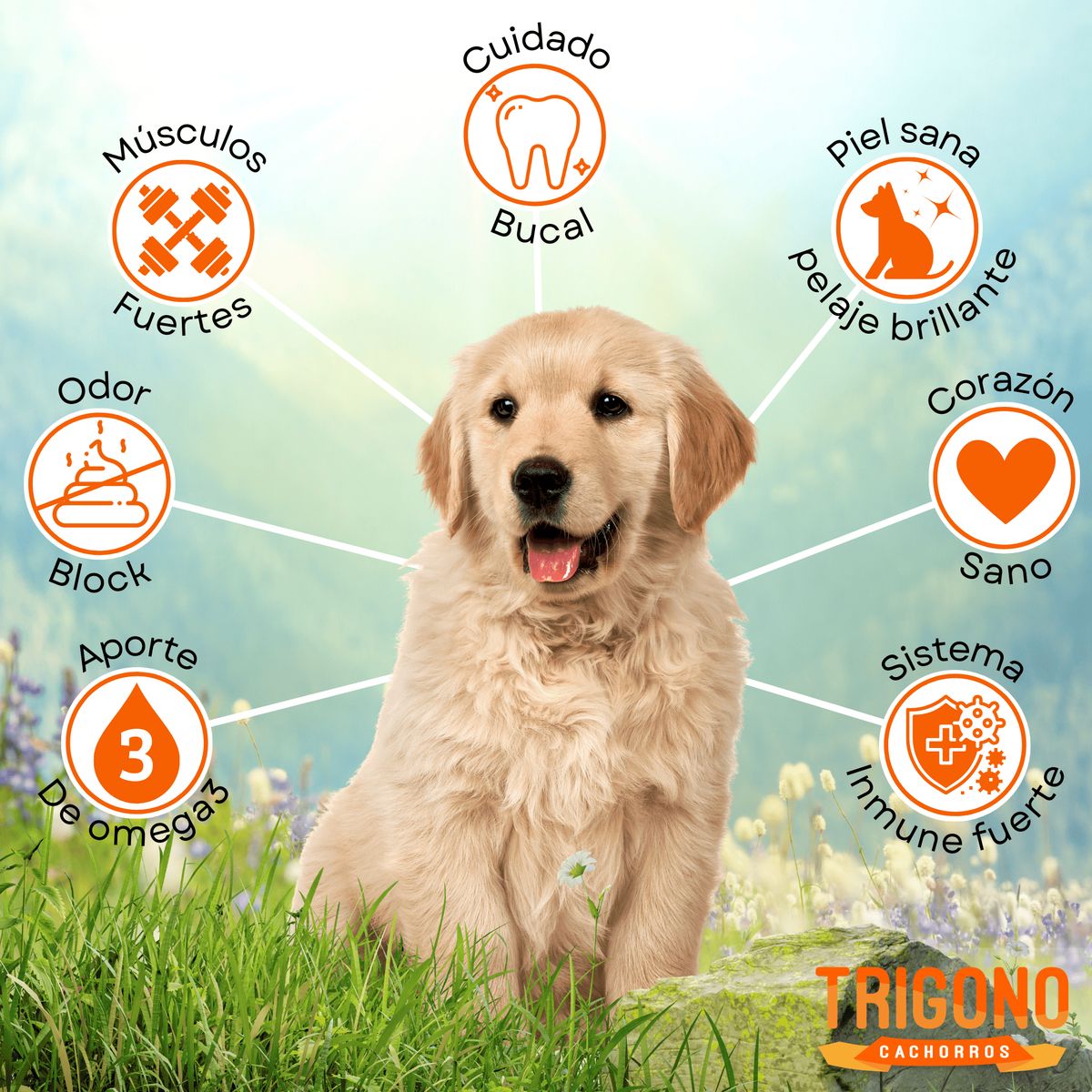 TRESKO - Alimento Trigono perro cachorro 10Kg