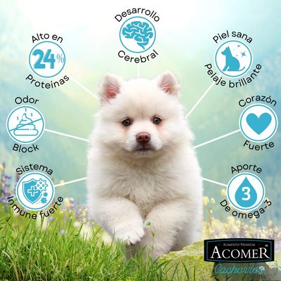 Imagen 2 del producto Alimento Acomer perro cachorro 10Kg
