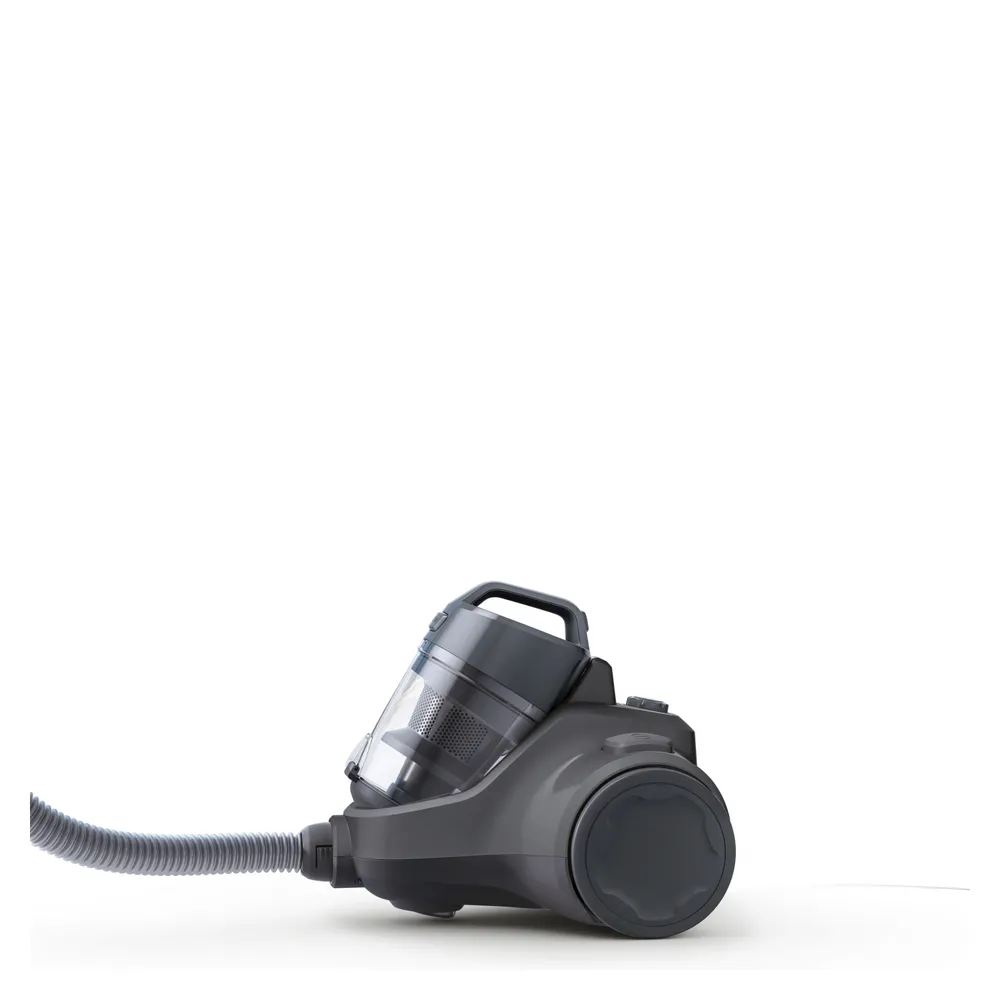 Electrolux Mystique EAS30 Gris, foto 4