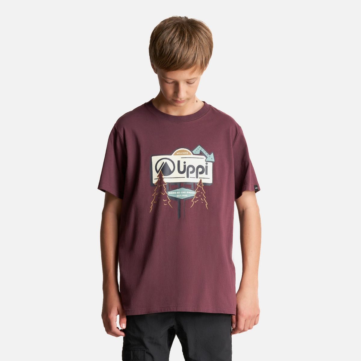 LIPPI - Polera Teen Boy Logo Lippi T-Shirt Burdeo Lippi