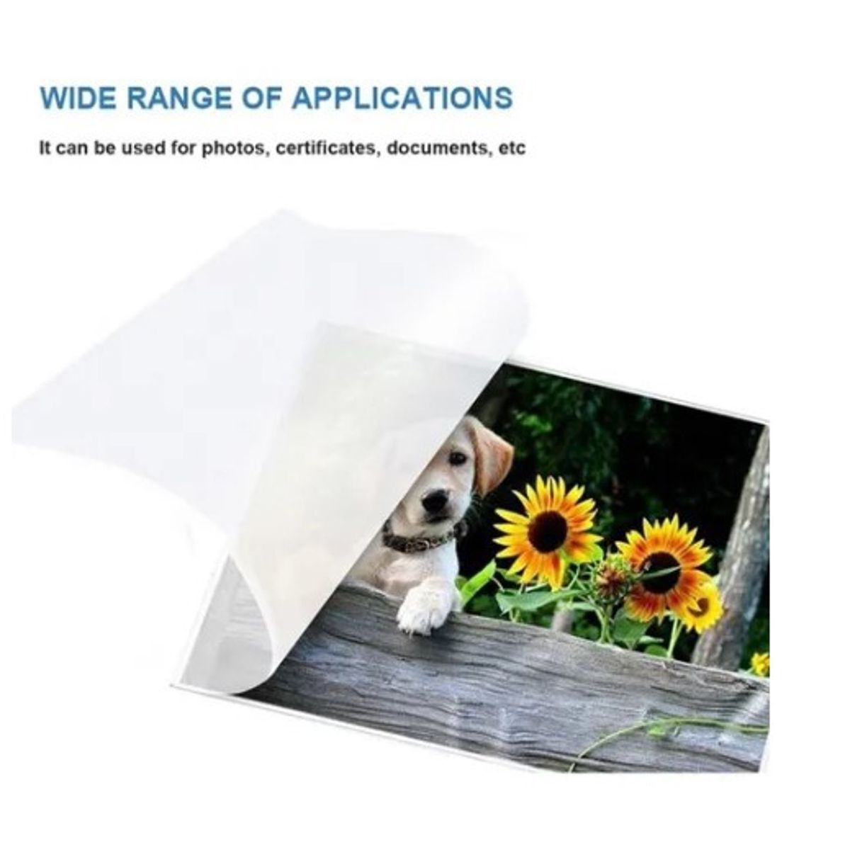 GENERICO - 100 Micas Pro Láminas Doble Termolaminadora Plastificadora