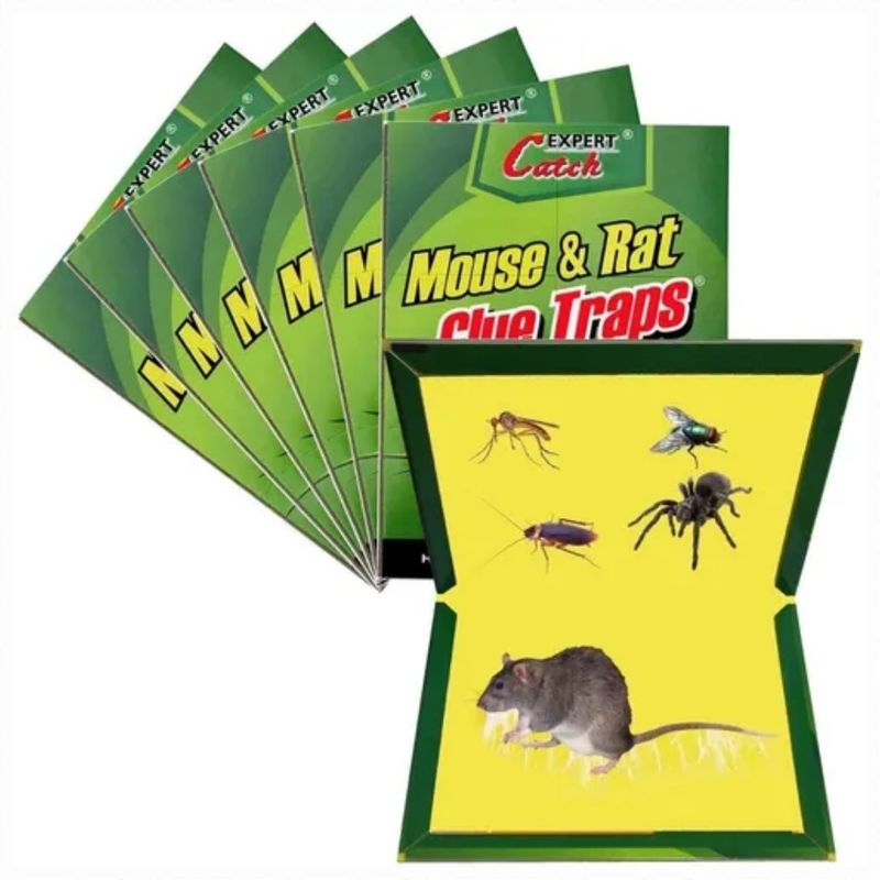 GENERICO - Pack 5 Trampa Ratones ratas Pegajosa Con Pegamento No Toxica