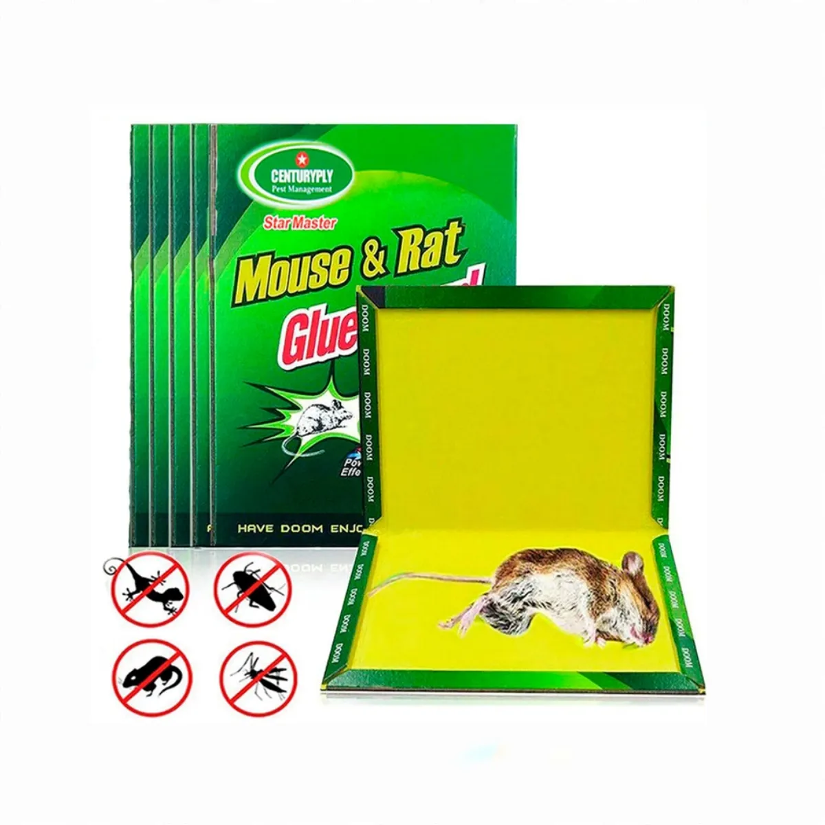 GENERICO - Pack 10 Trampa Ratones ratas Pegajosa Con Pegamento No Toxica