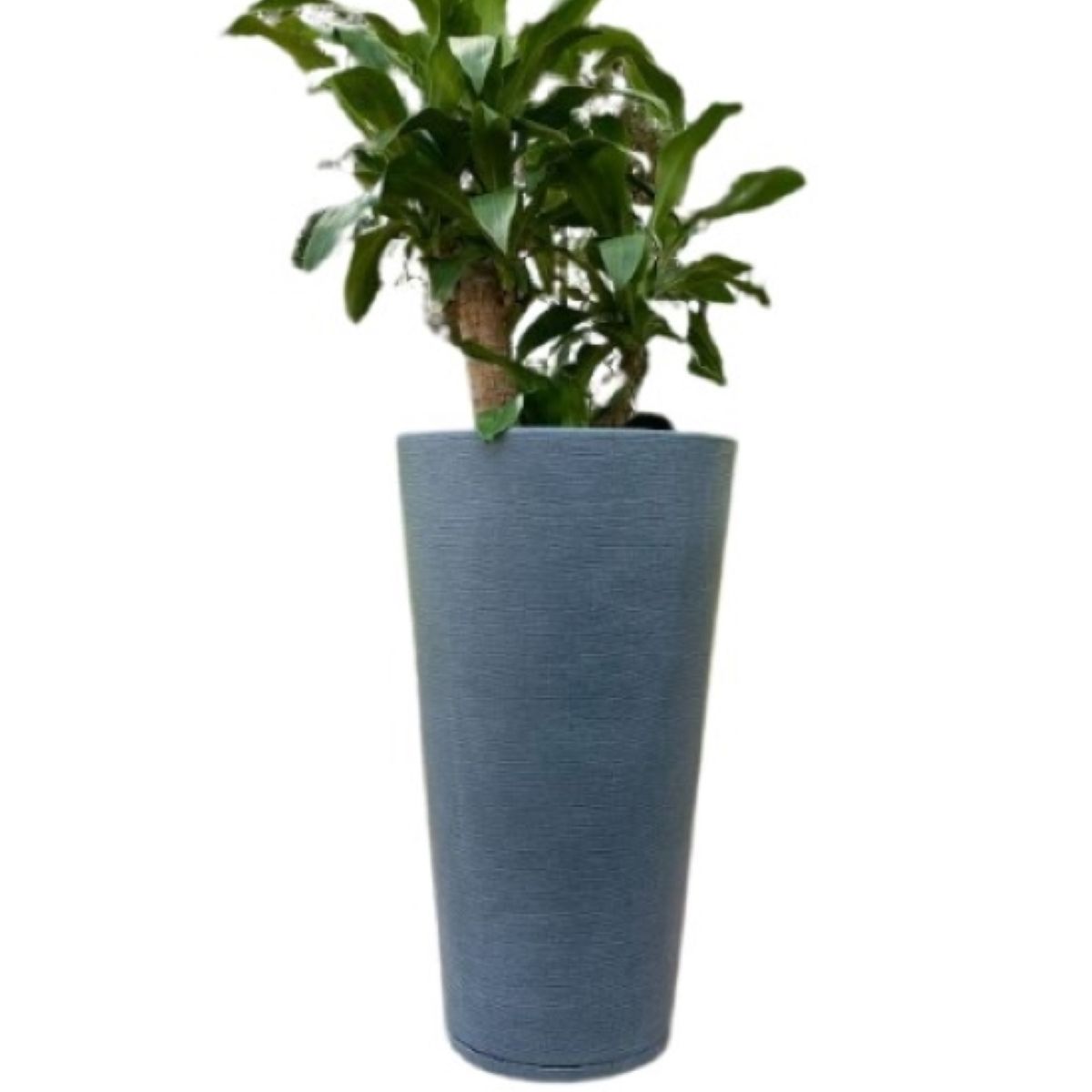 FLORIDIS - MACETERO FLORIDIS GRAFITO GENEBRA 80CM ALTO CON PLATO