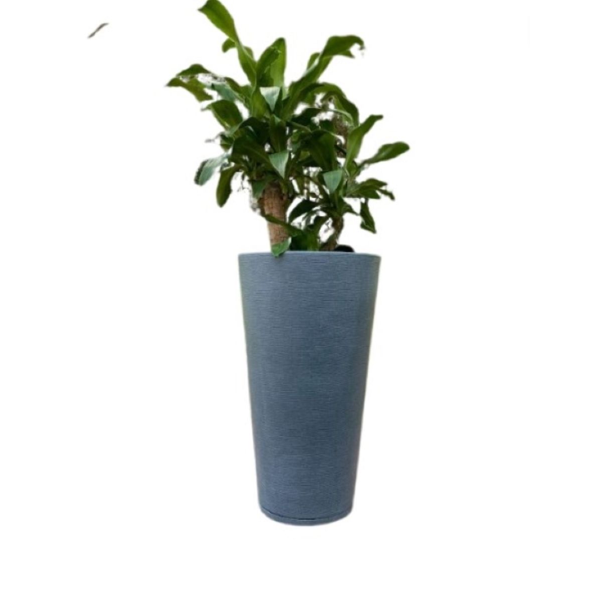 FLORIDIS - MACETERO FLORIDIS GRAFITO GENEBRA 80CM ALTO CON PLATO