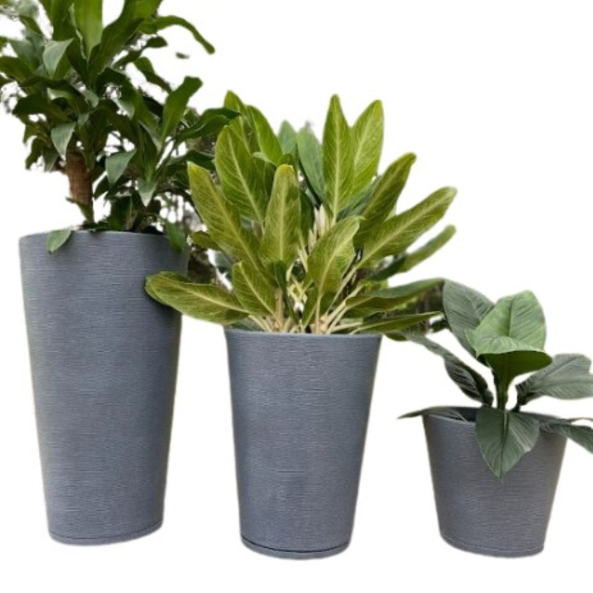 FLORIDIS - MACETERO FLORIDIS GRAFITO GENEBRA 80CM ALTO CON PLATO