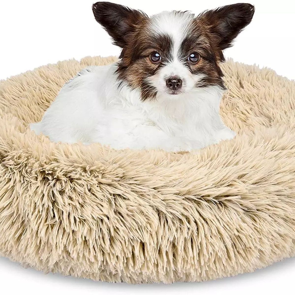 GENERICO - Cama Para Perros Y Gatos Antiestres 50cm Peludas Beige