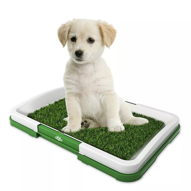 GENERICO - Baño ecológico para mascota perro gato 47x34x6cm