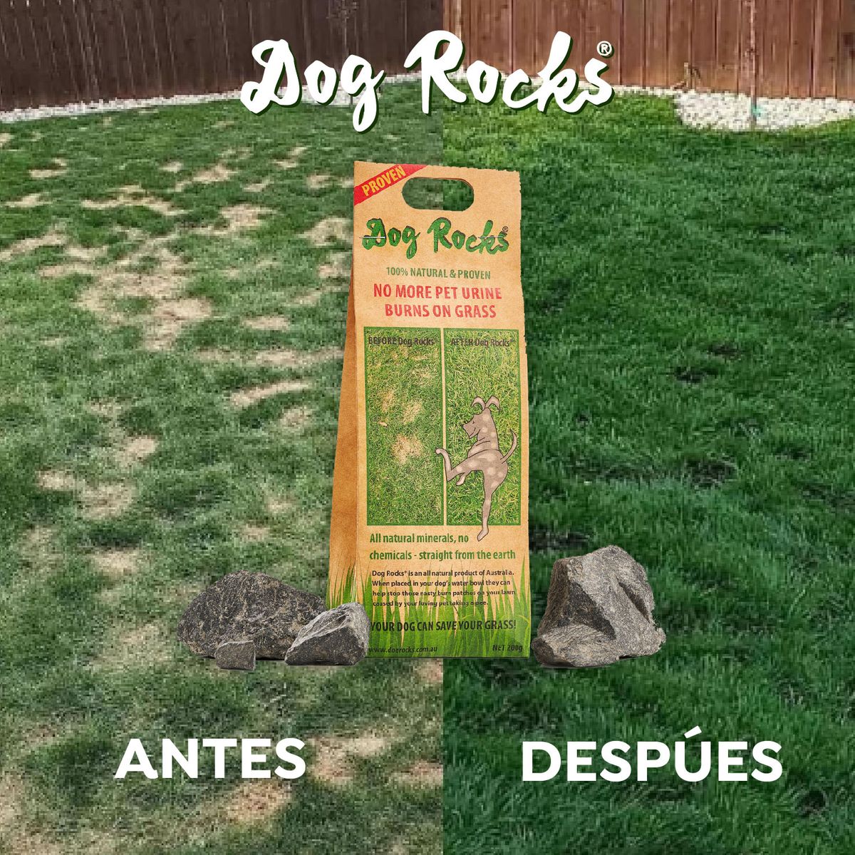 DOG ROCKS - Dog Rocks 200 grs.