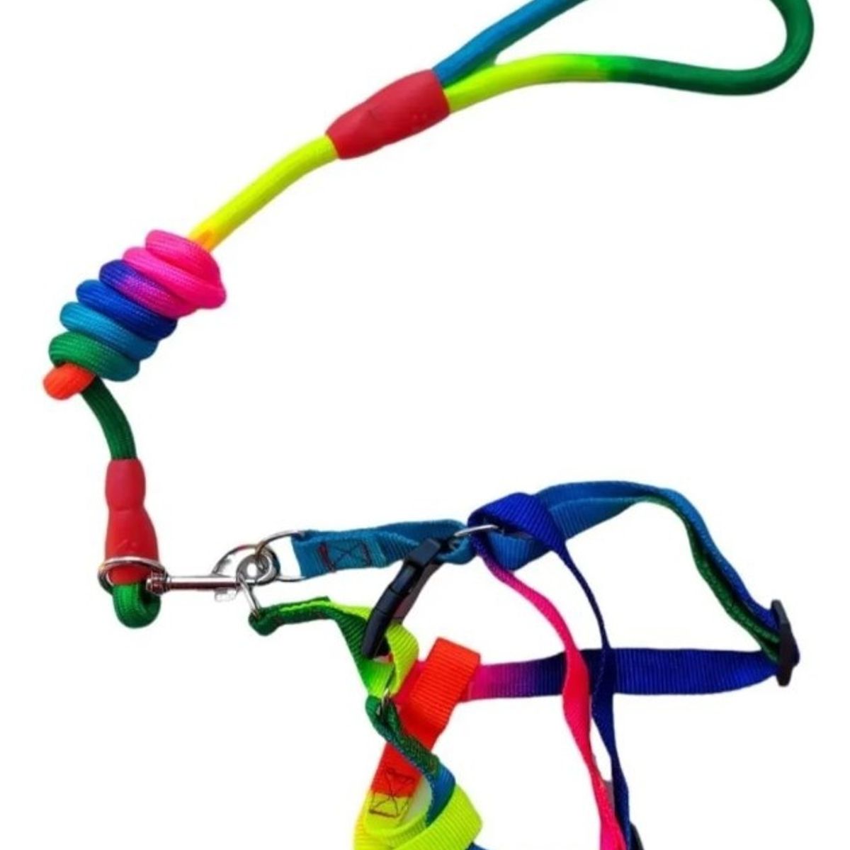 GENERICO - Kit Cuerda+arnes Arcoiris Mascota Perro Raza Mediana 1.2 Mt