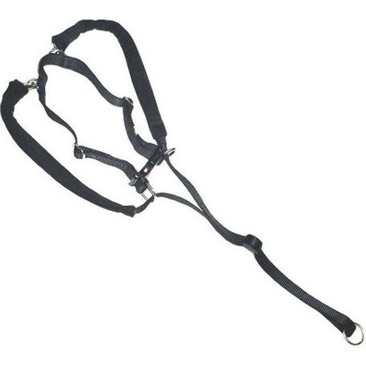 MASCAN - Arnés Anti-pull M Paseo Seguridad Mascotas Perro Mascan