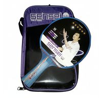 Paleta De Ping Pong 6 Star