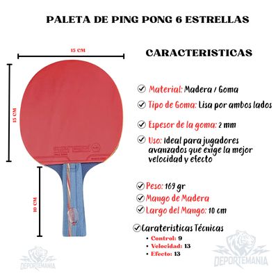 Imagen 2 del producto Paleta De Ping Pong 6 Star