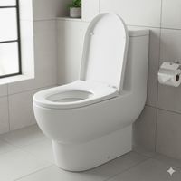 Tapa Asiento Soft Close Para wc Inodoro Acros