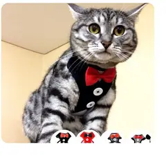 GENERICO - Arnes Para Mascotas Gatos Ó Perros Raza Pequeña Con Corbatín.