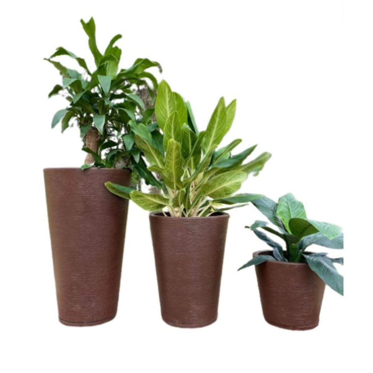 FLORIDIS - MACETERO FLORIDIS CAFÉ GENEBRA 80CM ALTO CON PLATO.