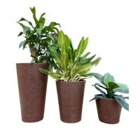 MACETERO CAFÉ GENEBRA 80CM ALTO CON PLATO