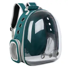 GENERICO - Mochila Bolso Transportes Mascotas Perros Gato verde