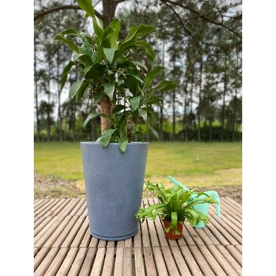 Imagen 2 del producto MACETERO GRAFITO GENEBRA 57CM ALTO CON PLATO