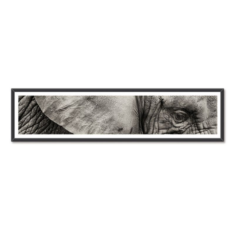 ALCUADRADO - Cuadro Panoramico Elefante Negro Detalle Alcuadrado