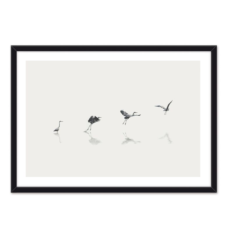 ALCUADRADO - Cuadro Individual Aves En La Playa Negro Alcuadro