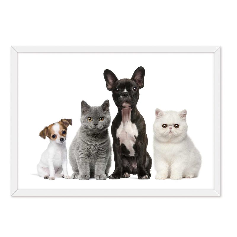 ALCUADRADO - Cuadro Individual Dog And Cat Blanco Alcuadrado